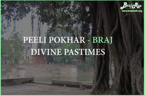 पीली पोखर- रासलीला