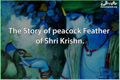 The Story of peacock Feather of Shri Krishn 