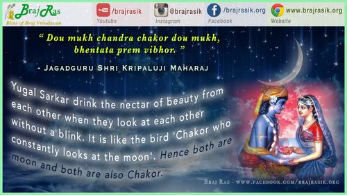 Dou mukh chandra chakor dou mukh - Jagadguru Shri Kripaluji Maharaj