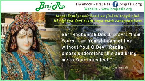 tavaivasmi tavaivasmi na jivami - Shri Raghunath Das, Vilap Kusumanjali (96)