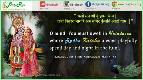 Chalo Mann Shri Vrindavan Dham - Jagadguru Shri Kripaluji Maharaj