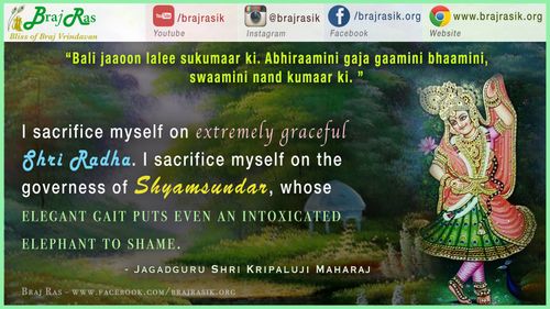 बलि जाऊं लाली सुकुमार की - प्रेम रस मदिरा, जगदगुरु श्री कृपालुजी महाराज