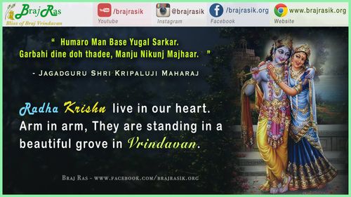 हमारो मन बसे युगल सरकार  - जगद्गुरु श्री कृपालुजी महाराज, प्रेम रस मदिरा 
