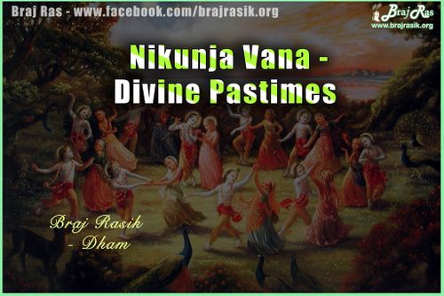 Sewa Kunj or Nikunja Vana - Divine Pastimes