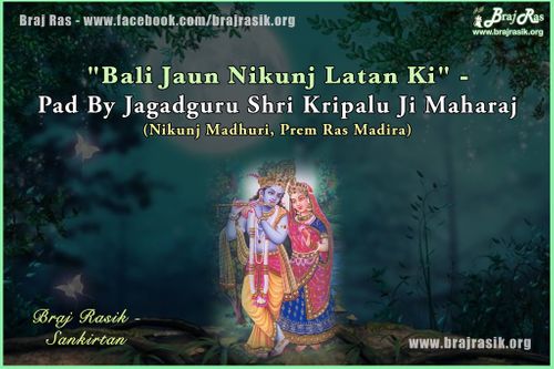 बलि जाउँ निकुंज लतान की - जगद्गुरु श्री कृपालु जी महाराज, प्रेम रस मदिरा, निकुंज माधुरी (17)
