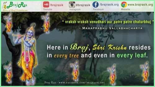 वृक्ष वृक्ष वेणुधरी और पत्रे पत्रे चतुर्भुज - महाप्रभु वल्लभाचार्य