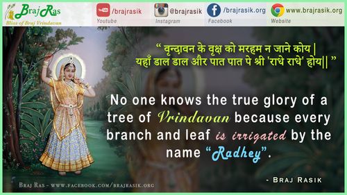 Vrindavan Ke Vriksh Ko Marm - Braj Ke Dohe