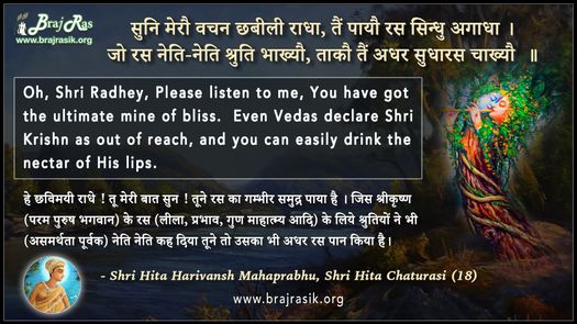 सुन मेरो वचन छबीली राधा, तें पायो रस सिंधु अगाधा  - श्री हित हरिवंश महाप्रभु - श्री हित चतुरासी (18)