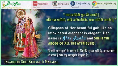 Mama swaamini guna ki aagaree - Jagadguru Shri Kripalu Ji Maharaj