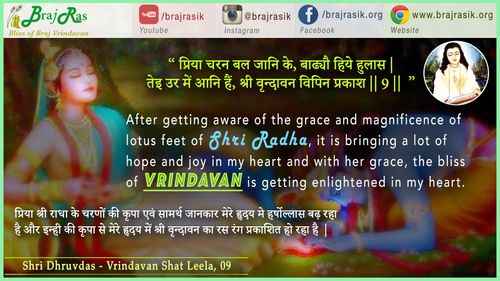 प्रिया चरन बल जानि कै - श्री ध्रुवदास, बयालीस लीला, वृन्दावन शत लीला (9)