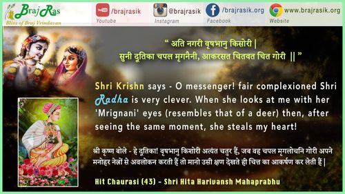 अति नागरी वृषभानु किसोरी - श्री हित हरिवंश महाप्रभु, हित चौरासी (43)
