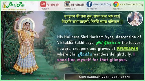 वृन्दावन की लता द्रुम - श्री हरिराम व्यास (विशाखा अवतार) - व्यास वाणी, सिद्धांत की साखी (30)