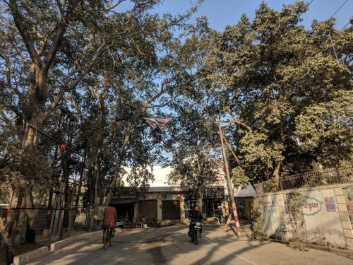 परिक्रमा मार्ग-वृंदावन