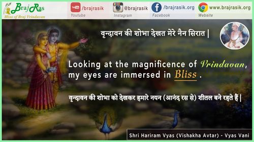 "वृन्दावन की शोभा देखत मेरे नैन सिरात |" - श्री हरिराम व्यास (विशाखा अवतार) - व्यास वाणी