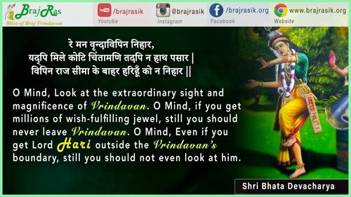 Re Mana Vrindavipin Nihaar - Quote By Shri Bhata Devacharya
