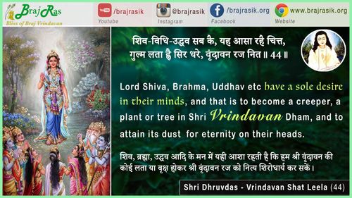 शिव-विधि-उद्धव सबनि कैं - श्री ध्रुवदास, बयालीस लीला, वृन्दावन शत लीला (44)