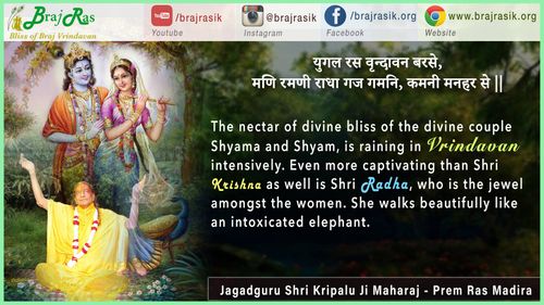 युगल रस वृन्दावन बरसे - जगदगुरु श्री कृपालु जी महाराज - प्रेम रस मदिरा