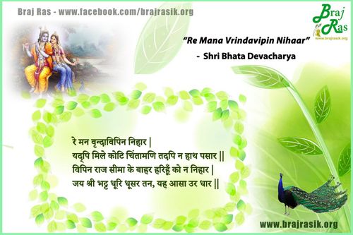 Re Mana Vrindavipin Nihaar - Shri Bhata Devacharya