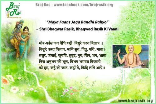 मोह-फाँस जग बँधि रह्यौ - श्री भगवत रसिक, भगवत रसिक की वाणी, अनन्यनिश्चयात्म ग्रन्थ - उत्तरार्ध (34)
