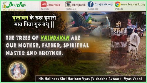 Vrindavan Ke Rookh Humaro Mat Pita Guru Bandhu - His Holiness Shri Hariram Vyas (Vishakha Avtaar) - Vyas Vani