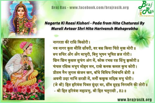 नागरता की रासि किसोरी - श्री हित हरिवंश महाप्रभु, श्री हित चतुरासी (82)