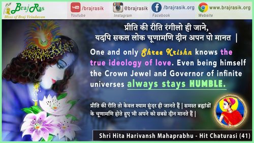 प्रीति की रीति रंगीलो ही जाने - मुरली अवतार श्री हित हरिवंश महाप्रभु, श्री हित चतुरसी (41)