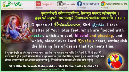 Vrindavaneshwari Tavev Padarvindam - Shri Hita Harivansh Mahaprabhu - Shri Radha Sudha Nidhi