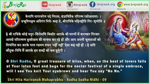 केनापि नागरवरेण पदे निपत्य - मुरली अवतार श्री हित हरिवंश महाप्रभु - श्री राधा सुधा निधि