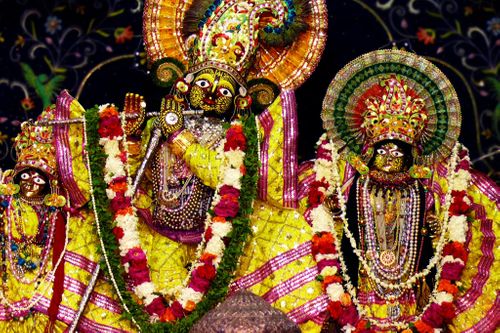 Shri Radha Damodar Temple, Vrindavan