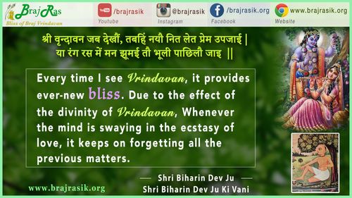 Shri Vrindavan Jab Dekhon - Shri Biharin Dev Ju, Shri Biharin Dev Ju Ki Vani, Ras Ke Pad (175)