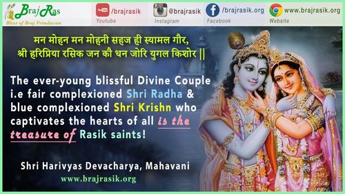 मन मोहन मन मोहनी - श्री हरिव्यास देवाचार्य, महावानी, सेवा सुख (24)