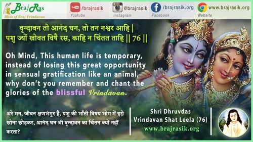 वृन्दावन तो आनंद घन - श्री ध्रुवदास, बयालीस लीला, वृन्दावन शत लीला (76)