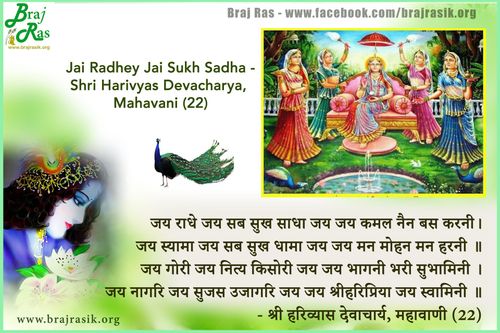 जय राधे जय सब सुख साधा - श्री हरिव्यास देवाचार्य, महावाणी, सेवा सुख (22)