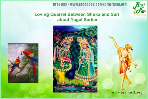Loving Quarrel Between Shuka and Sari  about Yugal Sarkar