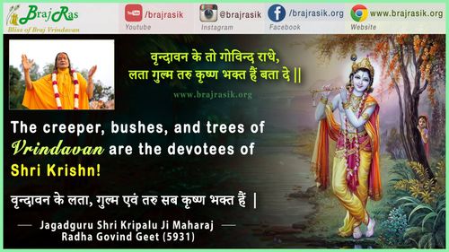 वृन्दावन के तो गोविन्द राधे - जगद्गुरु श्री कृपालु जी महाराज - राधा गोविन्द गीत