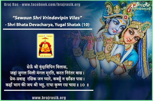 सेऊँ श्री वृंदाविपिन विलास - श्री भट्ट देवाचार्य, युगल शतक (10)