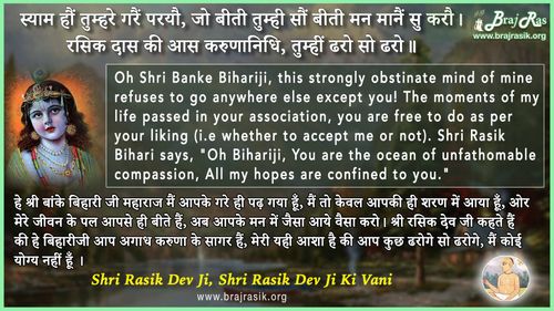 स्याम हौं तुम्हरे गरैं परयौ - श्री रसिक देव जी, श्री रसिक देव जी की वाणी