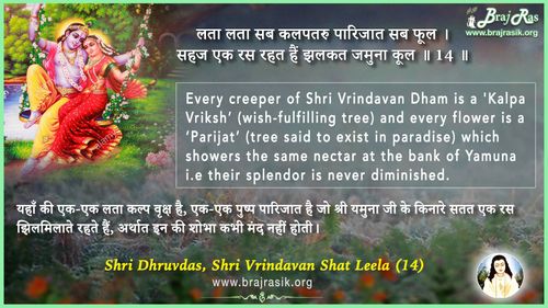 लता लता सब कलपतरु - श्री ध्रुवदास, बयालीस लीला, वृन्दावन शत लीला (14)