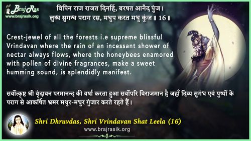 Vipin Raj Rajat Dinhin - Shri Dhruvdas, Bayalees Leela, Vrindavan Shat Leela (16)