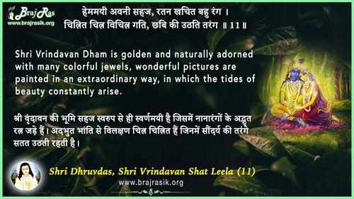 Hemmayi Avni Sahaj - Shri Dhruvdas, Bayalees Leela, Vrindavan Shat Leela (11)