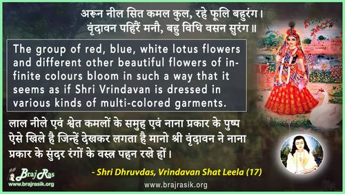 Arun Neel Sita Kamal Kul - Shri Dhruvdas, Bayalees Leela, Vrindavan Shat Leela (17)