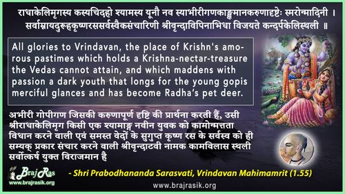 राधाकेलिमृगस्य कस्यचिदहो श्यामस्य यूनौ नव - श्री प्रबोधानंद सरस्वती, वृन्दावन महिमामृत (1.55)
