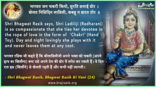 भगवत जन चकरी कियो - श्री भगवत रसिक की वाणी, अनन्य निश्चयात्मक ग्रंथ [पूर्वार्ध] (24)