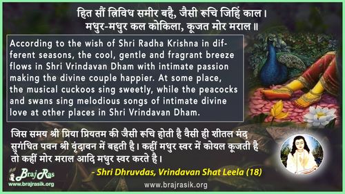 Hita Son Trividha Samir Bahe - Shri Dhruvdas, Bayalees Leela, Vrindavan Shat Leela (18)