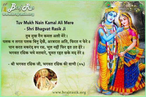 Tuv Mukh Nain Kamal Ali Mere - Shri Bhagwat Rasik, Bhagwat Rasik Ki Vani, Ananyarasikabharan Granth (4.5)