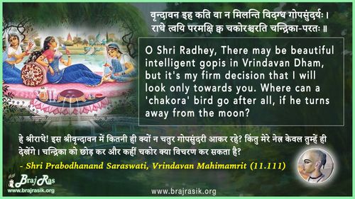 Vrindavan Iha Kati Va Na - Shri Prabodhanand Saraswati, Vrindavan Mahimamrit (11.111)