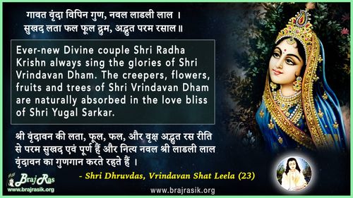 Gavat Vrinda Vipin Gun - Shri Dhruvdas, Bayalees Leela, Vrindavan Shat Leela (23)