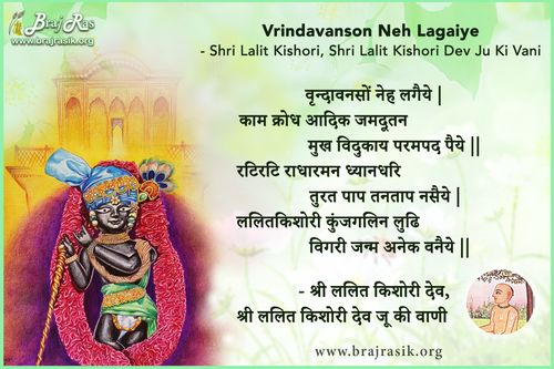 Vrindavanson Neh Lagaiye - Shri Lalit Kishori, Abhilash Madhuri, Vinay (241)