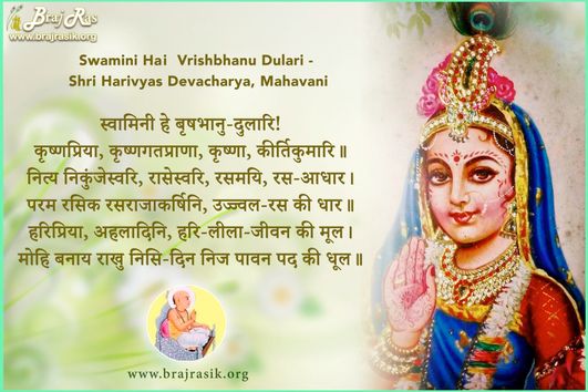 स्वामिनी हे बृषभानु-दुलारि - श्री हनुमान प्रसाद पोद्दार (भाईजी), पद रत्नाकर