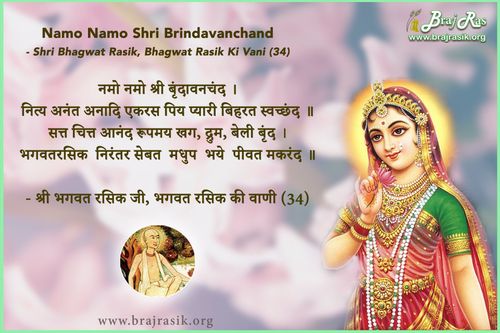 नमो नमो श्री बृंदावनचंद - श्री भगवत रसिक जी, भगवत रसिक की वाणी, अनन्यनिश्चयात्म ग्रन्थ - पूर्वार्द्ध (34)